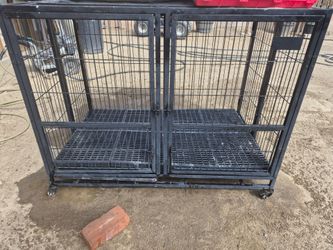 Kennel