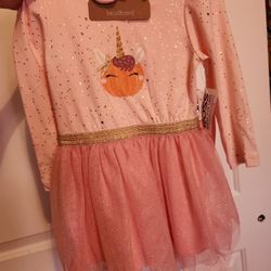 24month Girl NWT Dress