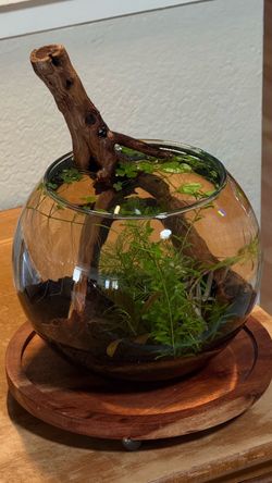 Nano Aquarium (For DeskTop/Bookshelf)