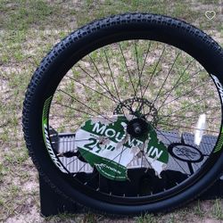 SCHWINN FRONT TIRE ASSEMBLY 