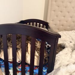 Toddler Crib