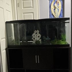 Aquarium 55 Gallons And Stand