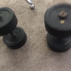 Troy Dumbbells