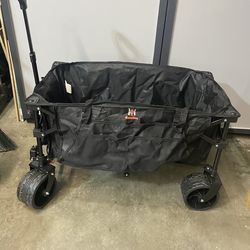 Kids/ Sports Wagen