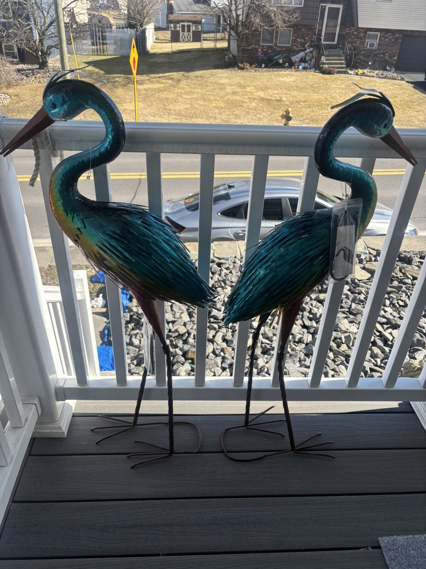 Birds