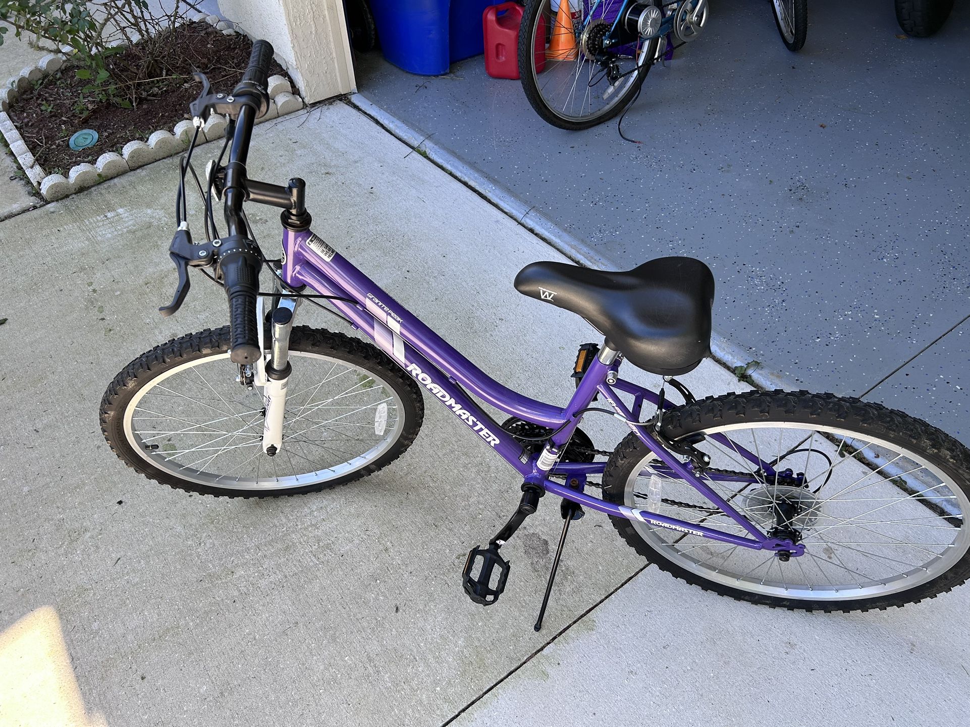 24 Inch Girls Bike