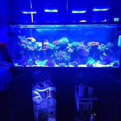 120 Gallon Tank No Scratches 