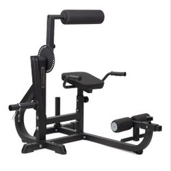 Brand New Titan Fitness Seated Ab/Back Extension Machine