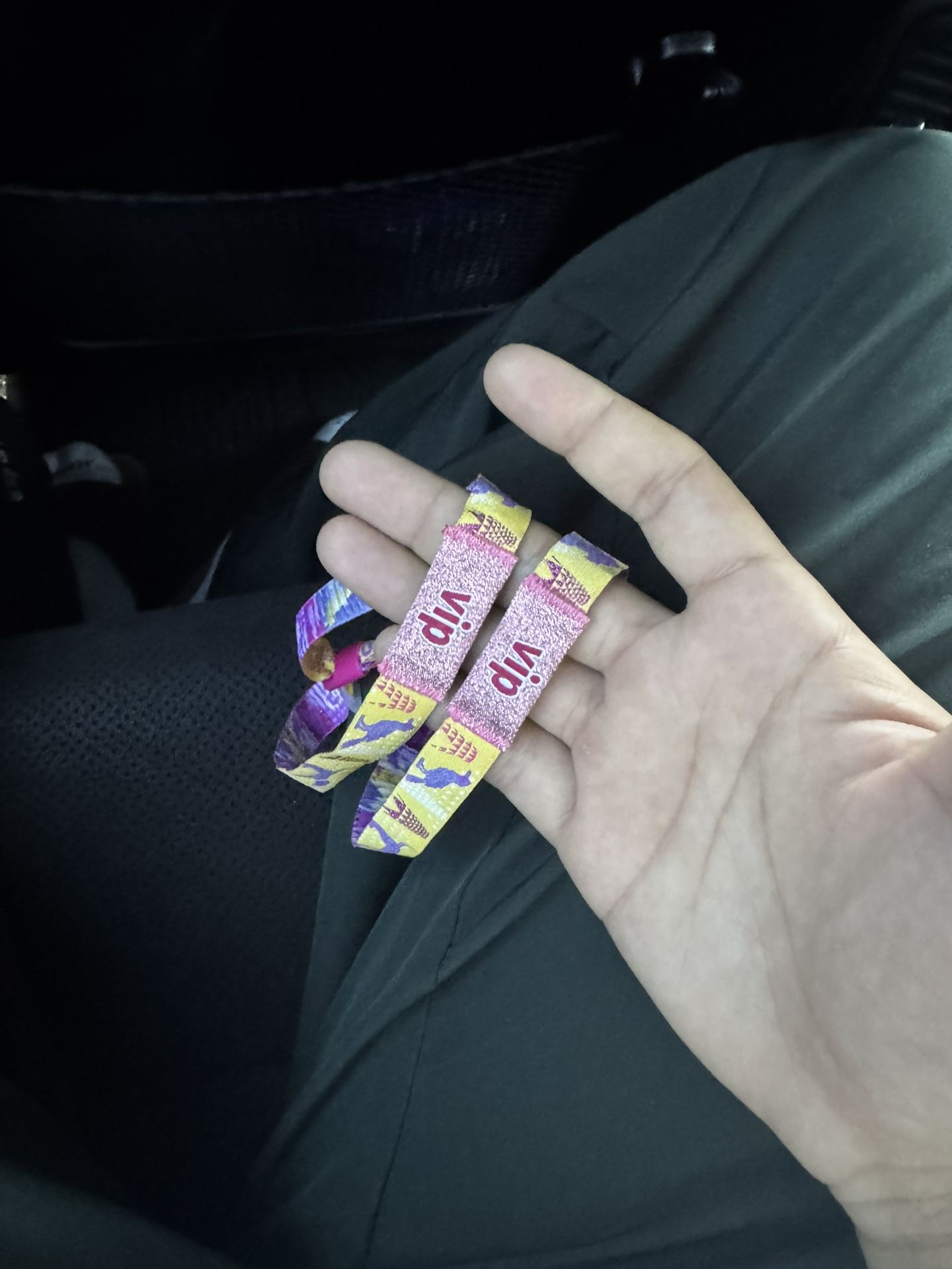 Coachella Weekend 2
