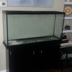 65 Gallon Fish Tank With Stand 