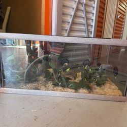 Reptile Tank