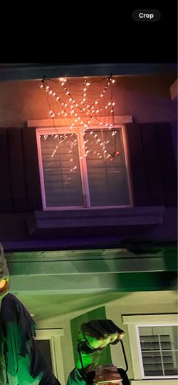 Hanging Spiderweb Halloween Light