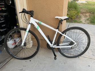 Diamondback Calico