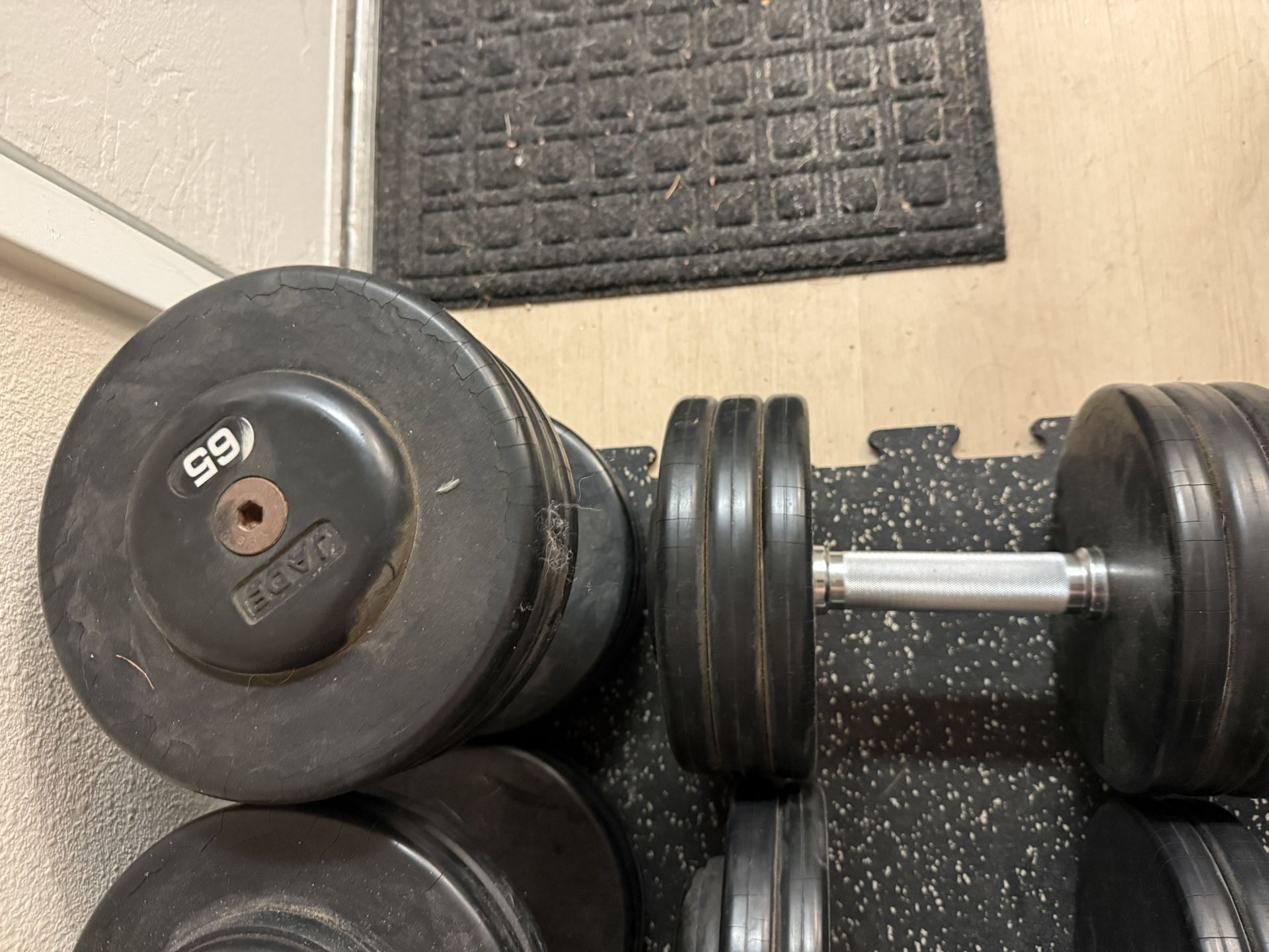 65lb Jade Rubber coated Dumbbells