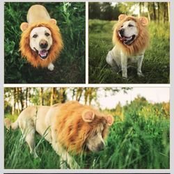 Dog Lion Mane Costume - Realistic Mane with Ears for Medium to Large Sized Dogs, Pet Halloween Costumes