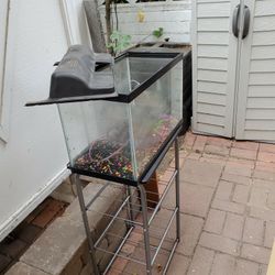 10 Gal Fishtank