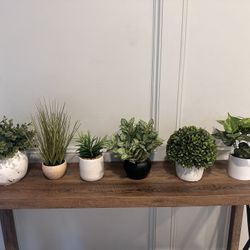 Plants