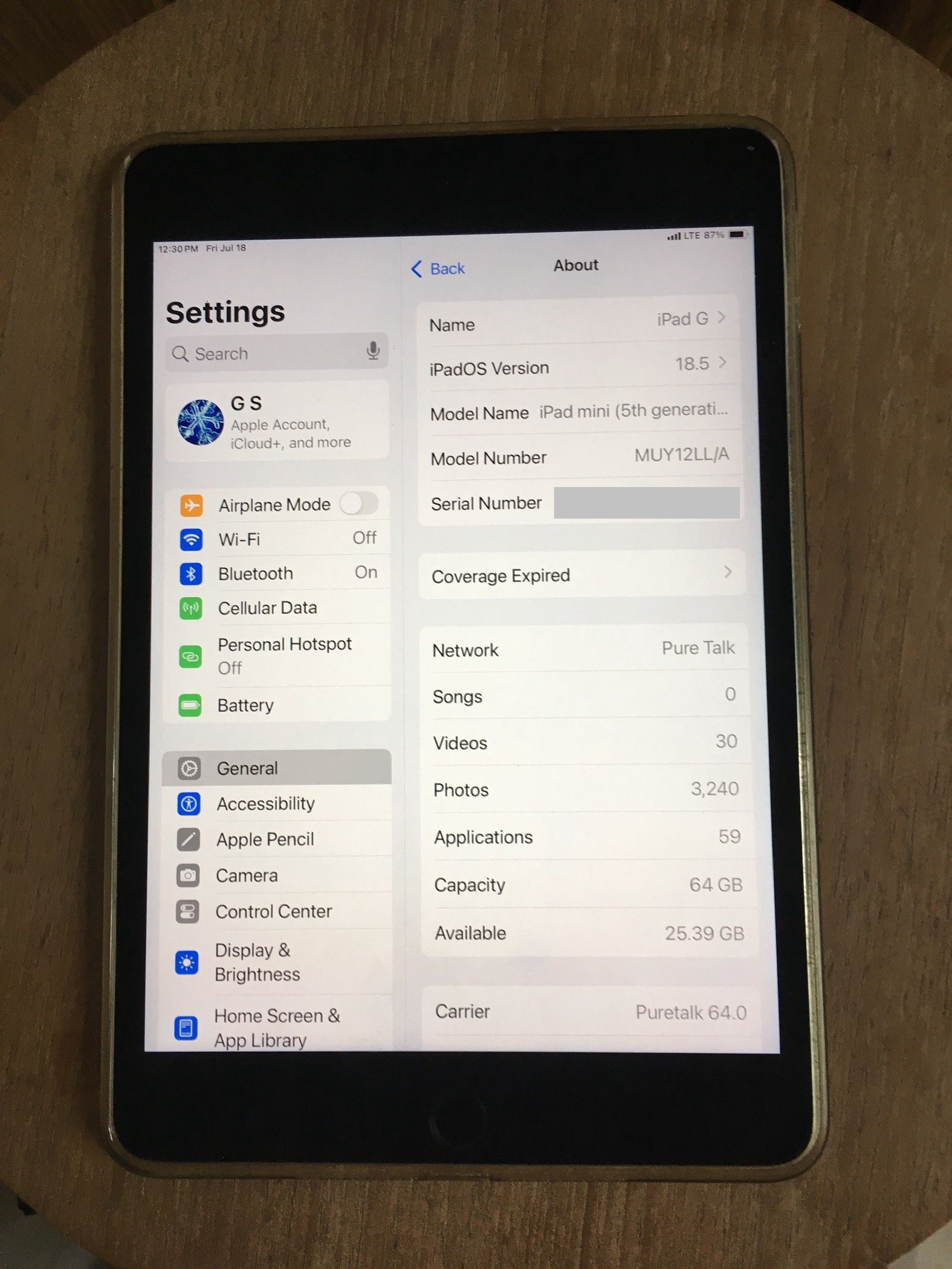 Ipad Mini 5 WiFi + Cellular (any Carrier) 64gb, Excellent