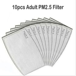 PM 2.5 Mask Filter 10 Pack 