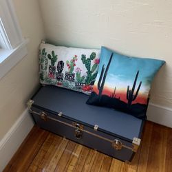 Cactus Pillows