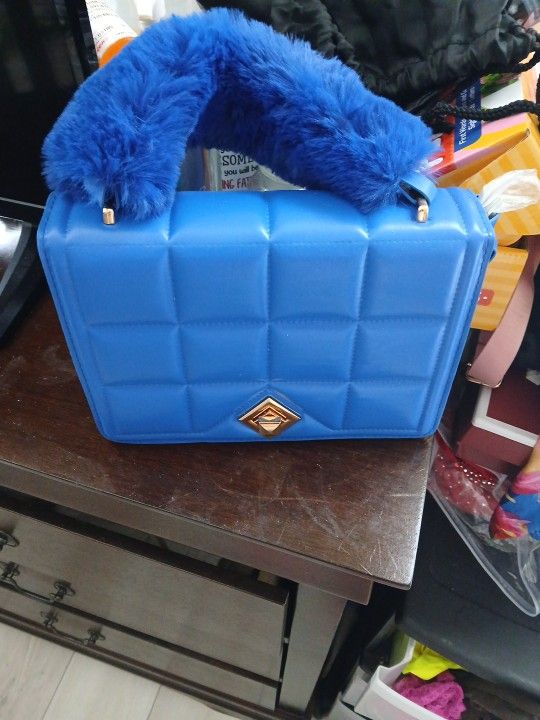 Blue Purse