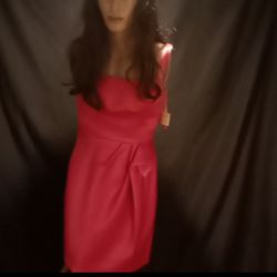 Pink Bridesmaid Gown Size 12