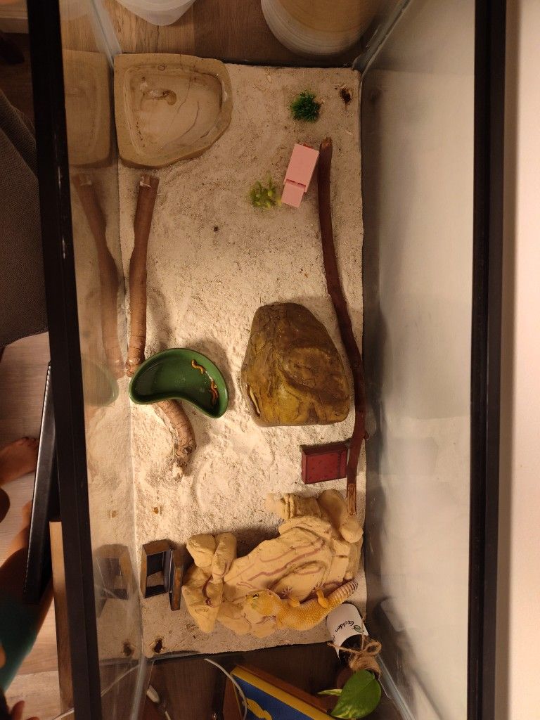 Fish Tank (All The Accessories Inside As Well)