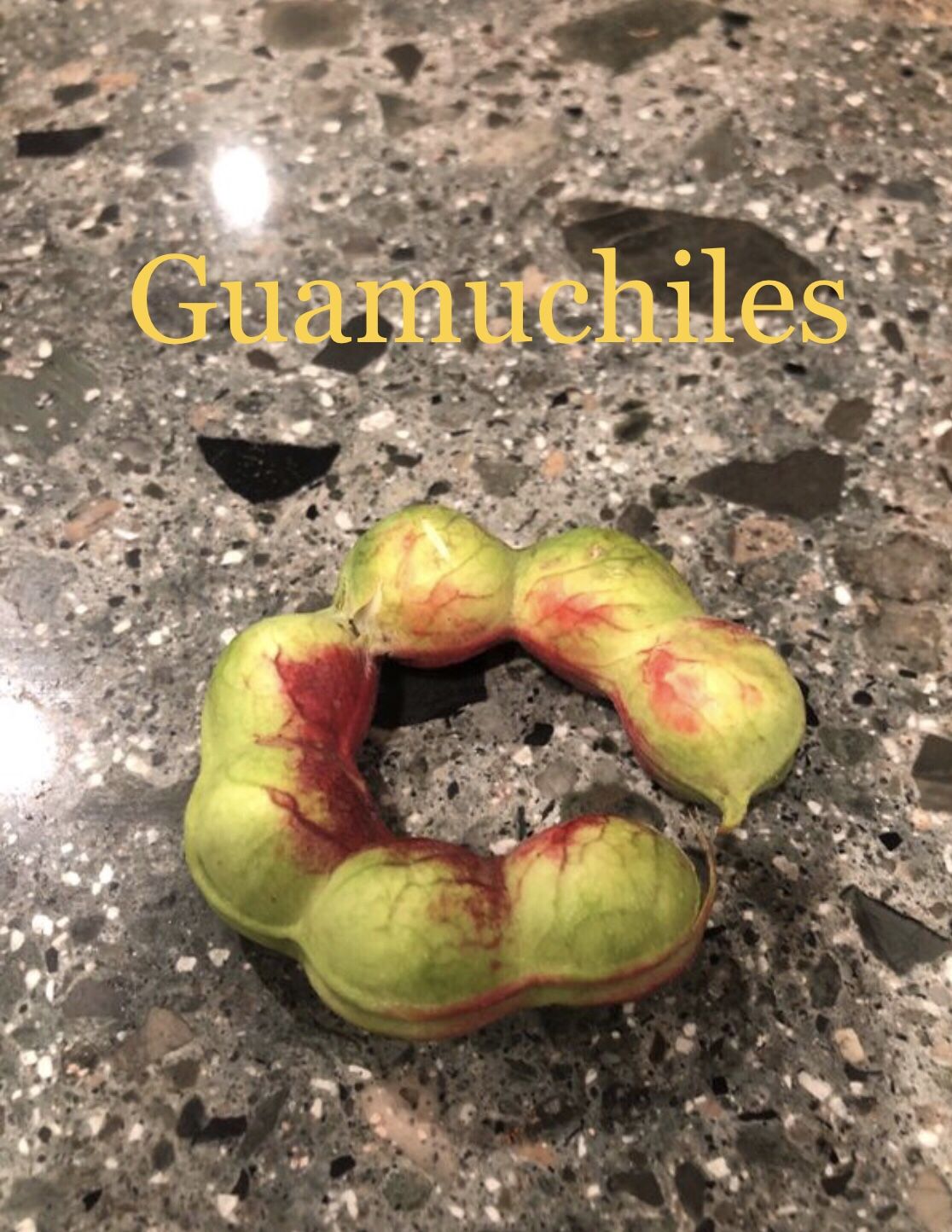 Guamuchiles