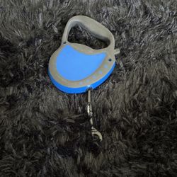 10 Ft Leash