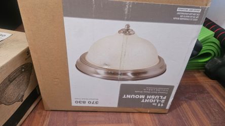 Light mount