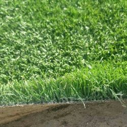 Synthetic Artificial Grass Used ** West Palm Bch 🌴 