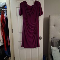 V Neck Grape Dress