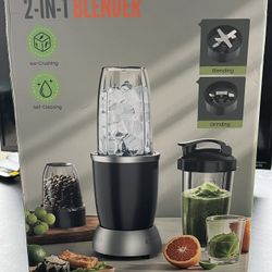 2in1 Blender 