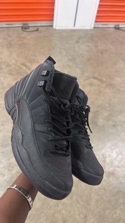 black jordan 12s