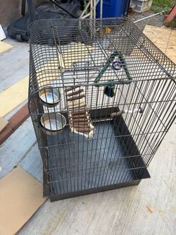 Conure bird cage