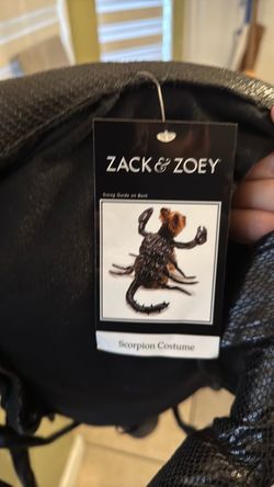 Zack & Zoey Dog Scorpion Costume