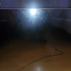 43-inch Samsung 2020 Crystal UHD 4K Smart TV