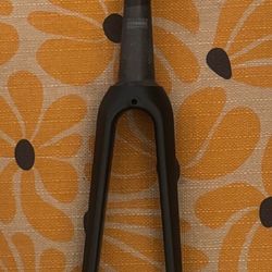 Carbon Fiber Fork Road Bike