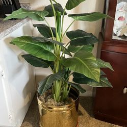 Decoration Artificial Plant