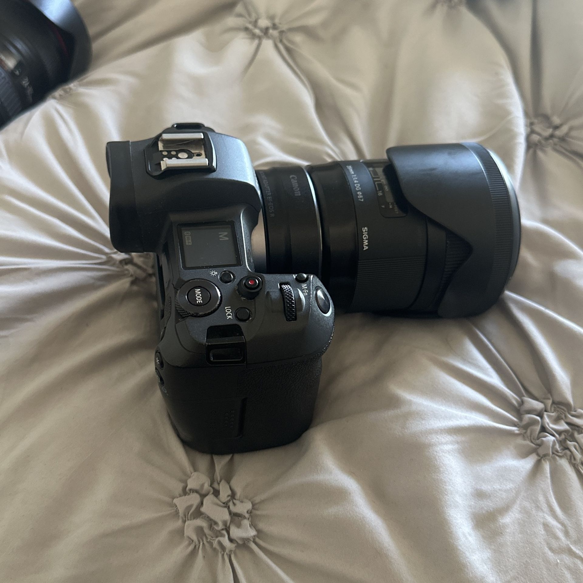Canon EOS R +sigma 35mm 1.4