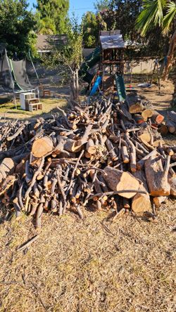 Oak fire wood