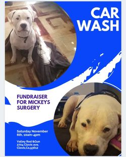 Fundraiser Carwash And Selling My Motorcycle