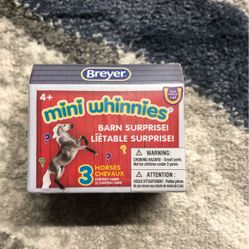 Mini whinnies
