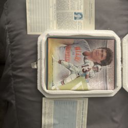 Dan Marino Collectable Plate
