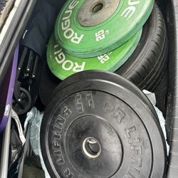 Rogue 25lb & 15lb Bumper Plates