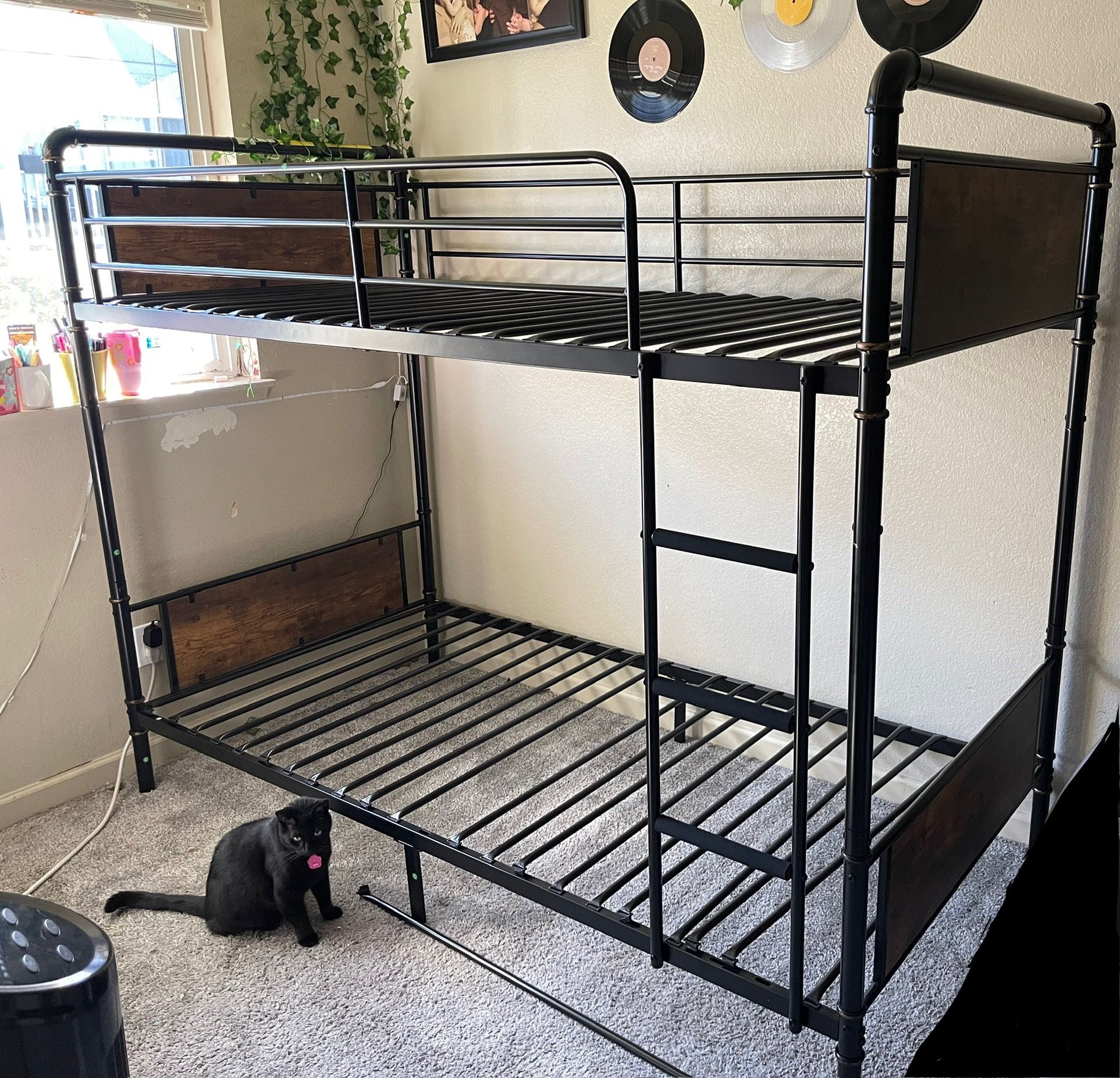 Twin XL Bunk bed