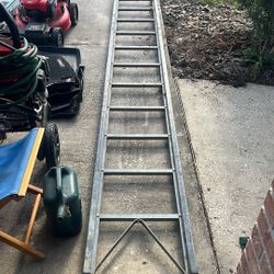 6 1/2 Foot Ladder 