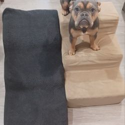 pet stairs  