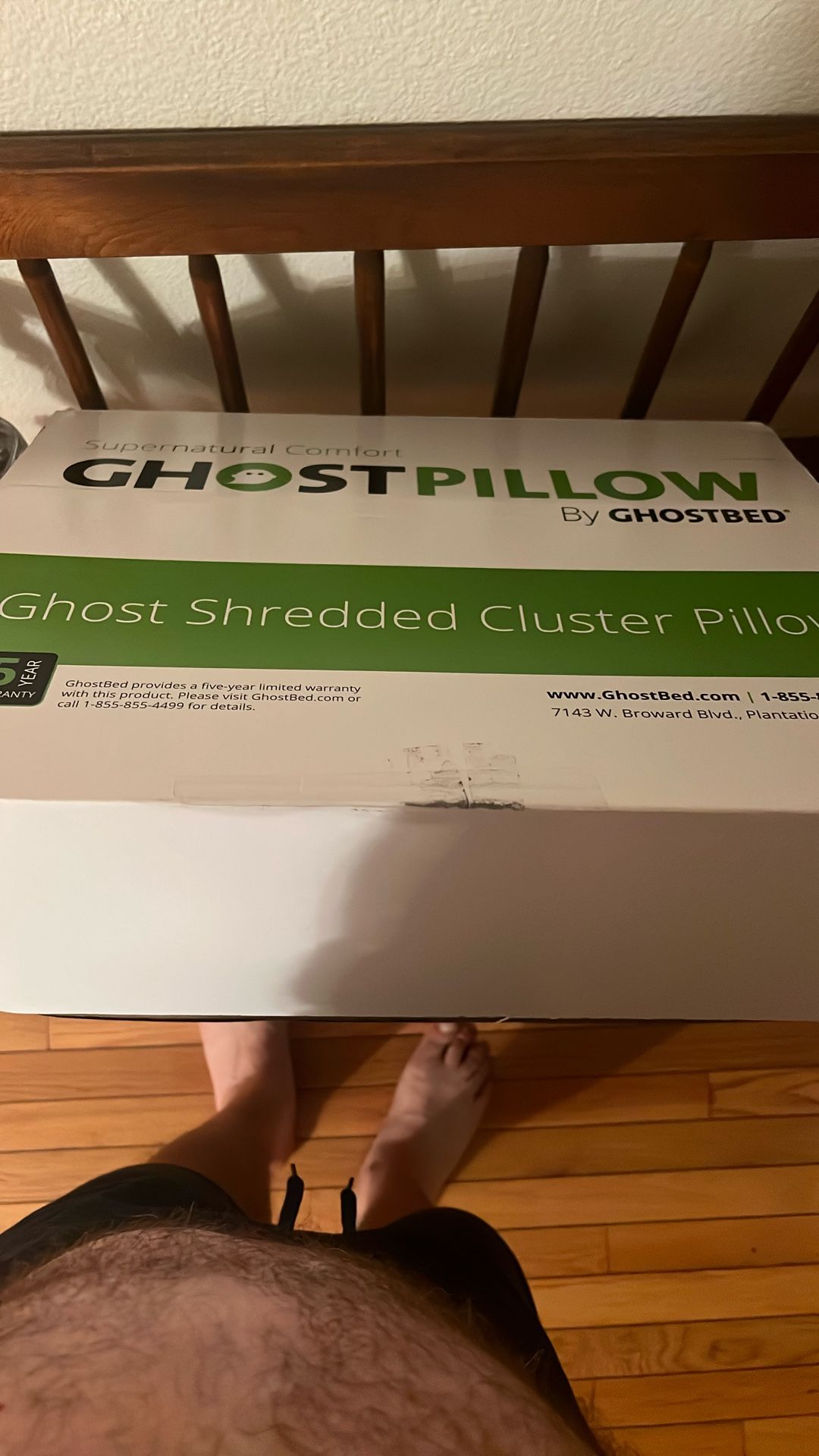 Ghost Pillow By Ghostbed Pillows Brand New.