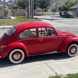 1971 Vw Super Beetle 